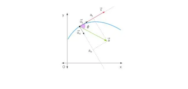 Point acceleration vector