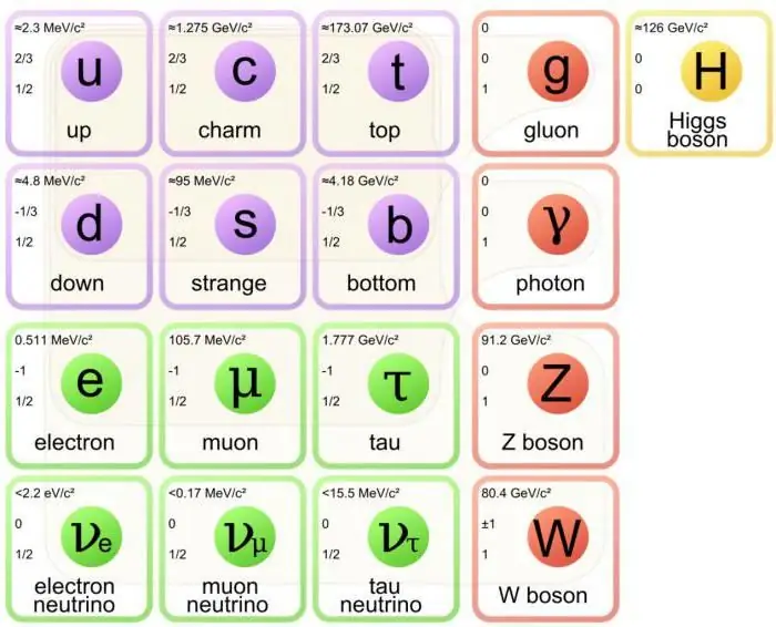 particella di neutrino