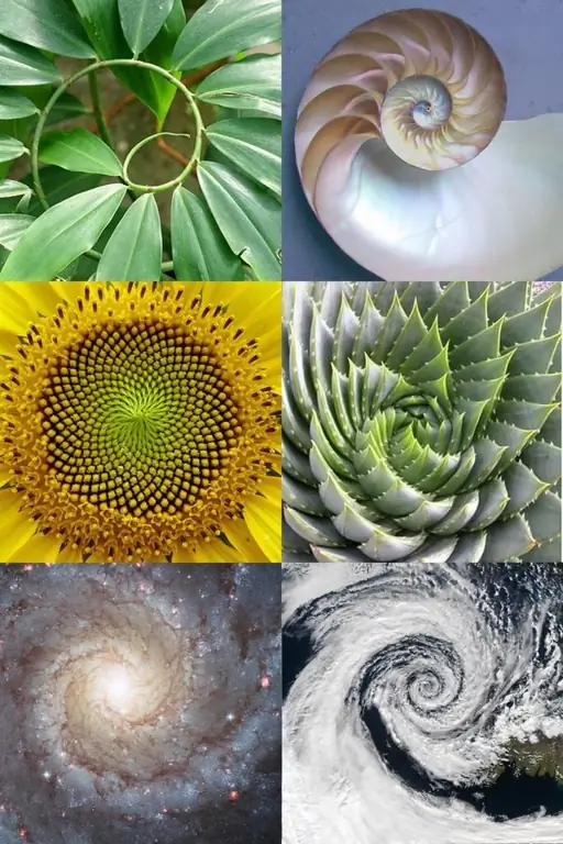 spiral həndəsə