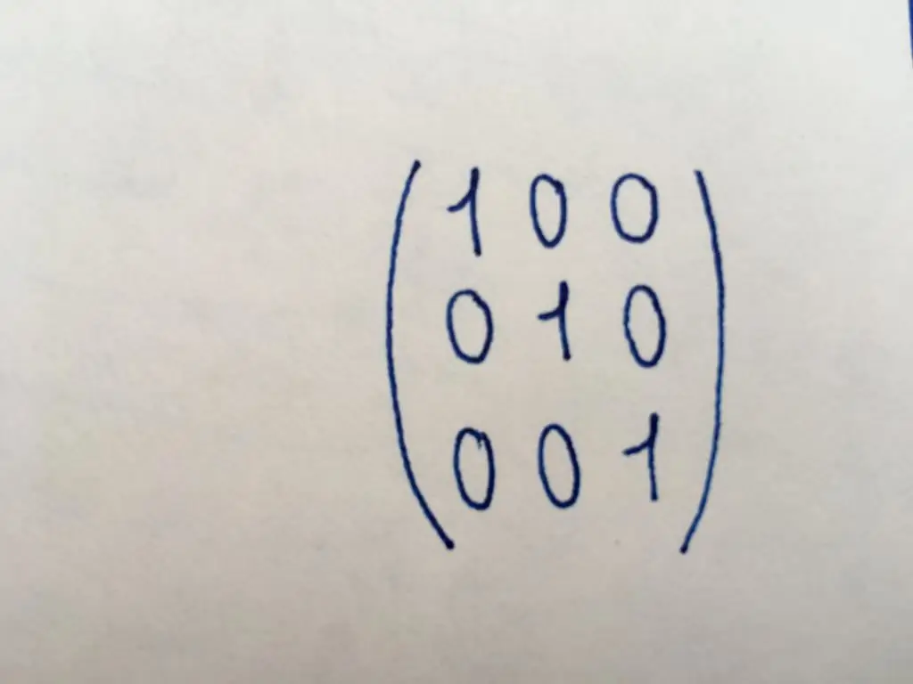 Matriz de identidade