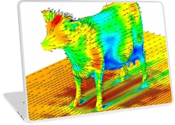 Cow Aerodynamics