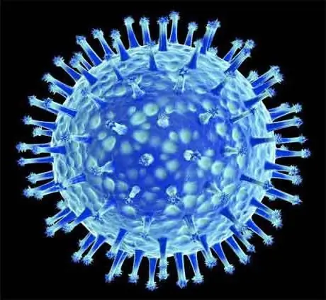 jenis virus dalam biologi