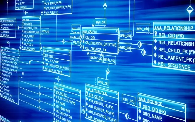 Domain information model