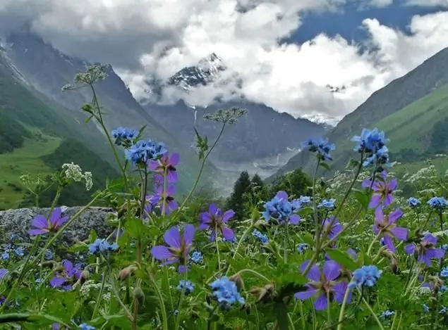 Méridiens et parallèles des montagnes de l'Oural