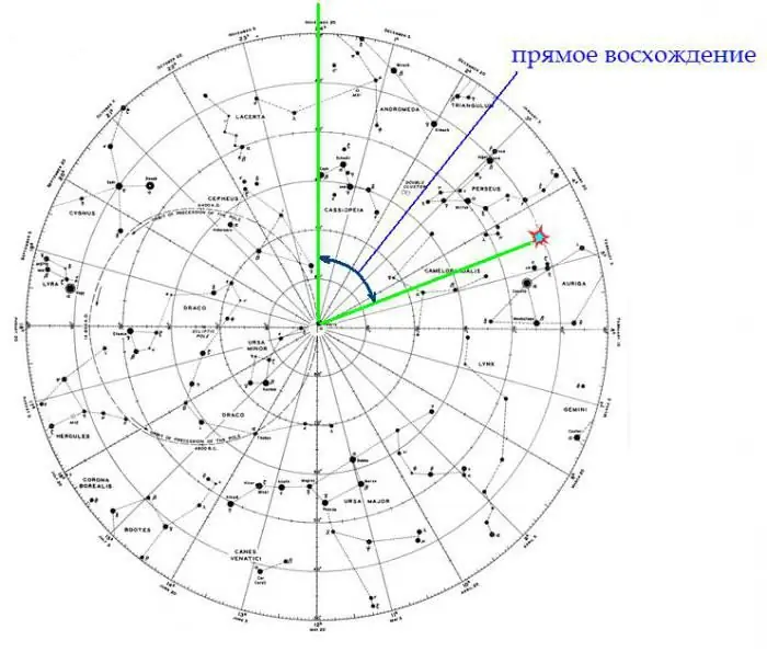 coordinate stellari