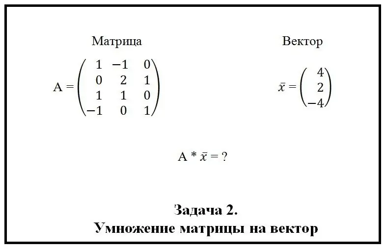 Multiplication ntawm ib tug matrix los ntawm ib tug vector