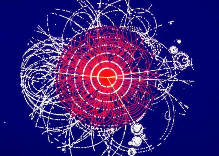 hvad er higgs bosonog hvad er vigtigheden af dens opdagelse