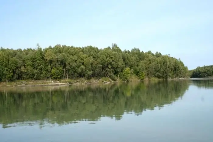 Sungai Terbesar di Dunia