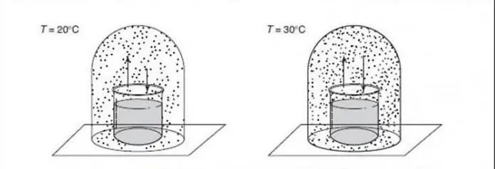 Txoj cai ntawm theem equilibrium