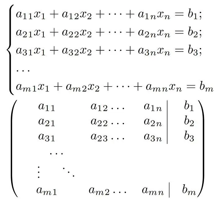 hem sistem hem de matrisi