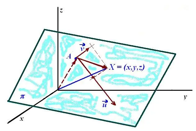 Plane and two vectors